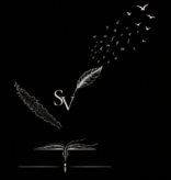 Scripta Volant